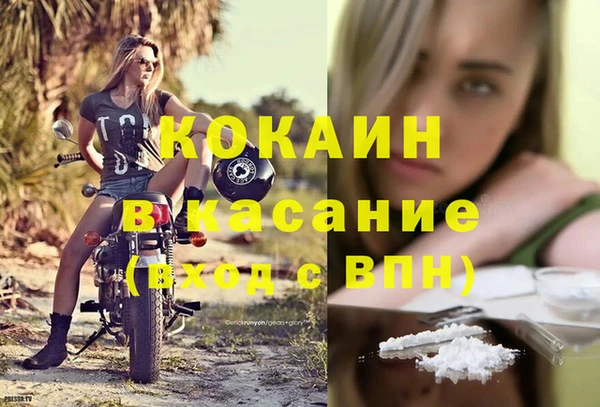 шишки Белокуриха