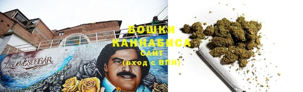 шишки Белокуриха