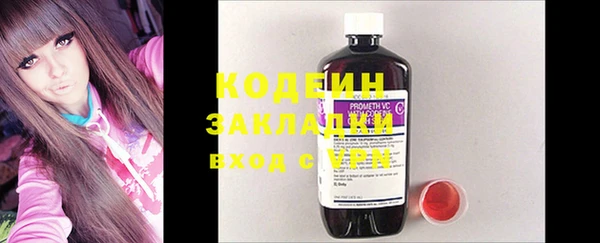 шишки Белокуриха
