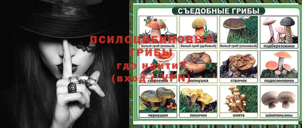 молекула духа Белоозёрский