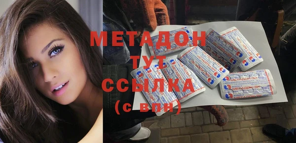 шишки Белокуриха