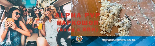 шишки Белокуриха