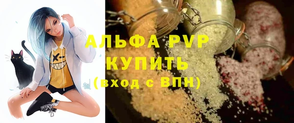 молекула духа Белоозёрский